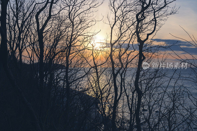 sunset on the island of rügen with many trees in the foreground
